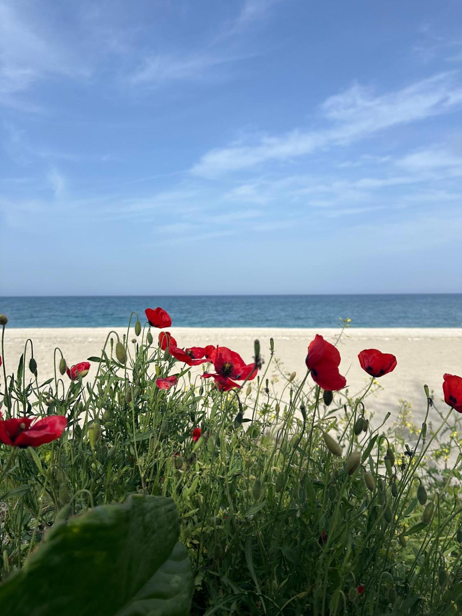 Amelia Beach Apartments Agios Ioannis  ภายนอก รูปภาพ